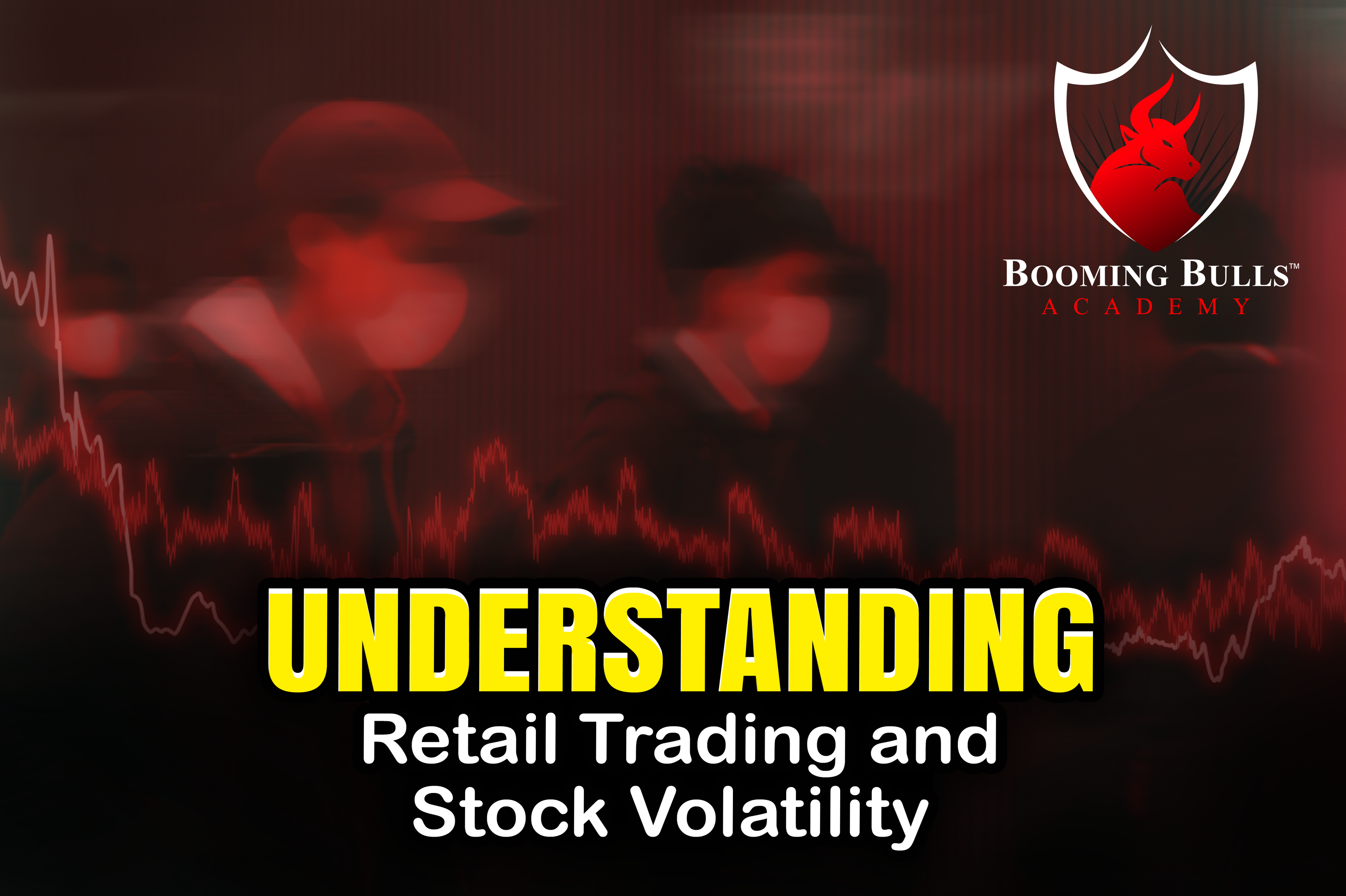 Understanding Retail Trading and Stock Volatility